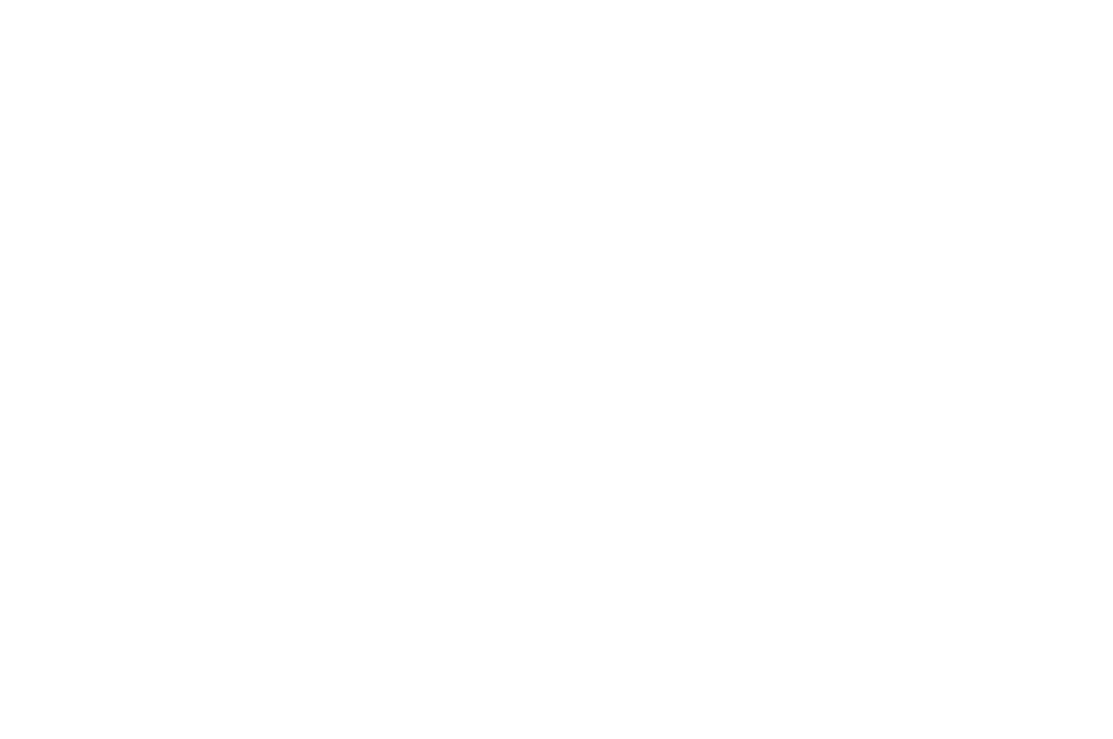 Southeast Regional Film Festival-One Night in Tehran-White