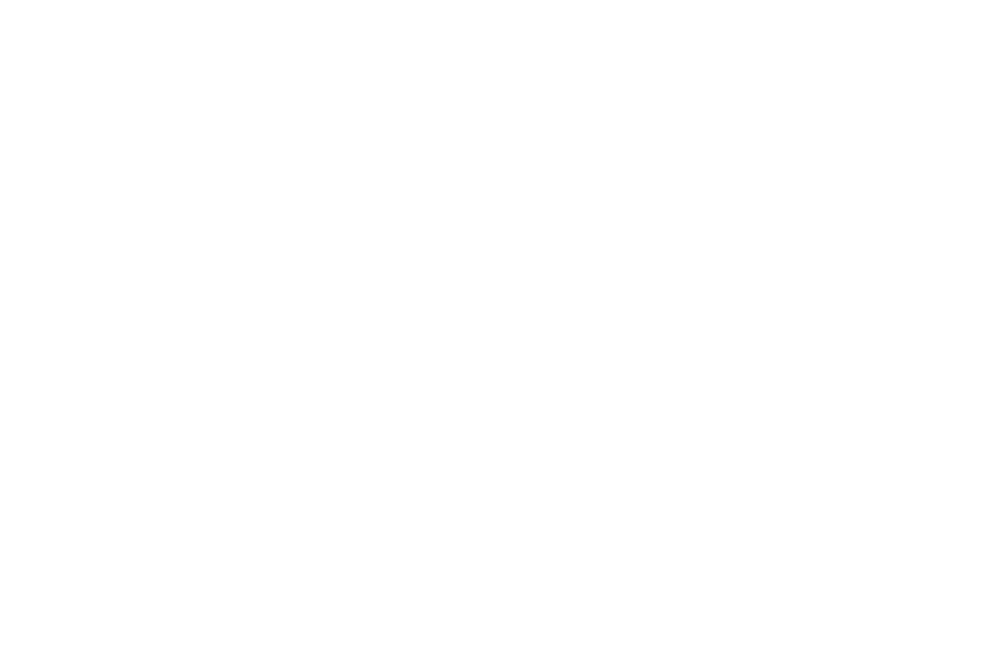 Under The Stars International Film Festival-One Night in Tehran-white