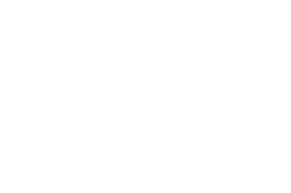 WUIFF-2020-One Night in Tehran-white