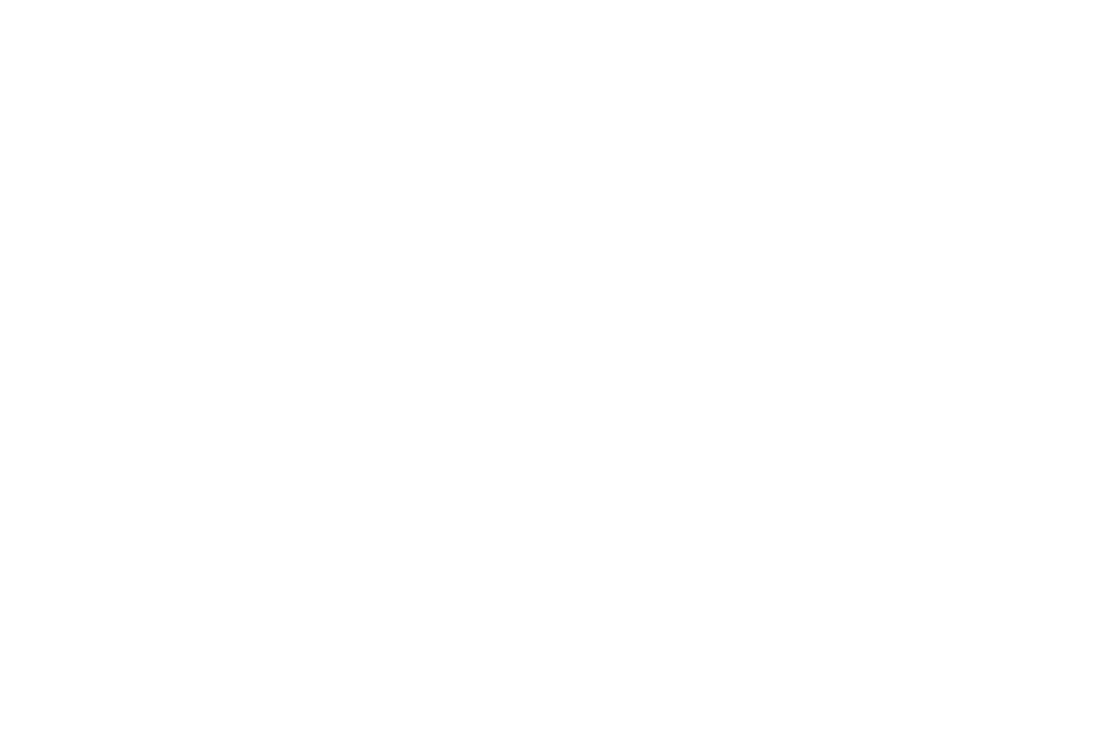 White Unicorn International Film Festival-One Night in Tehran-white
