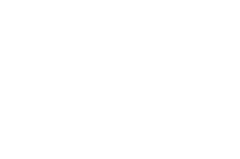 Winner - Salento Film Festival-One Night in Tehran-white