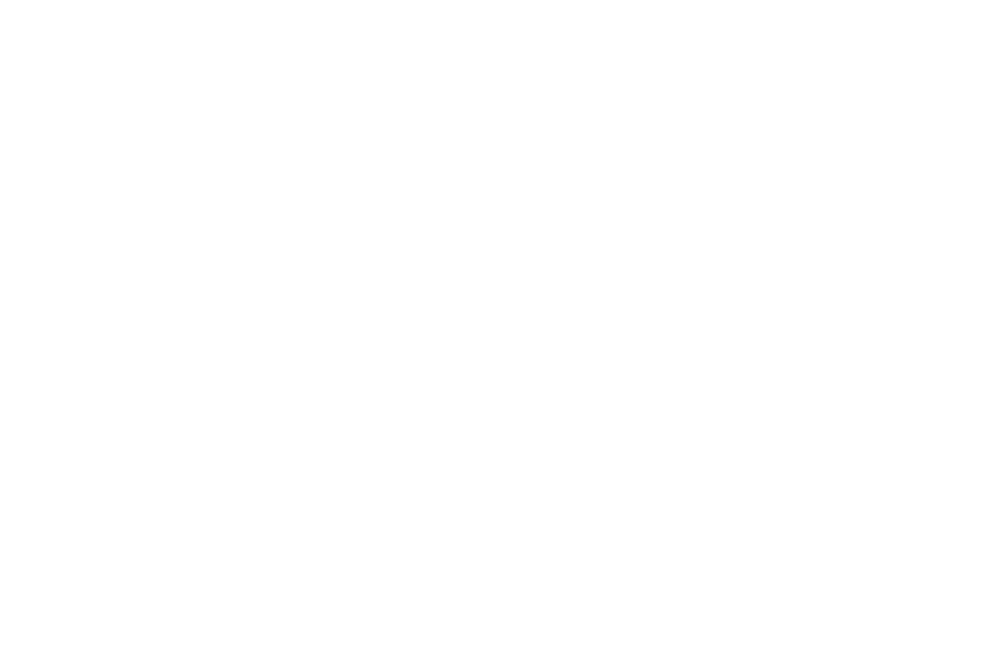 WinnerQueen-Palm-International-Film-Festival-One Night in Tehran-white