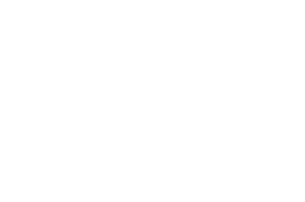 winner Salento film festival-One Night in Tehran-white